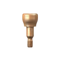 sky esthetic gingiva former (small)