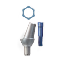 sky esthetic abutment Angular (15°) incl screw 2.2