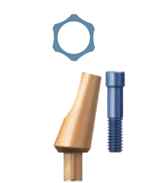  Sky titanium abutment Angular (15° & 25°)°