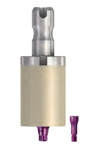 BioHPP SKY elegance prefab ( custom abutment) 