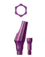 Copa sky titanium abutment Angular (15' & 25')