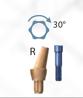 sky esthetic abutment Angular R  (15°) incl screw 2.2 